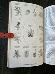 Cannabis CLOG Issue 17 2019 Book, Canada, 8.5”x5.5”, 119 Pages Illustrated PO-LN