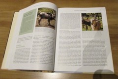Holistic Goat Care: A Comprehensive Guide to Raising Healthy Animals, Caldwell