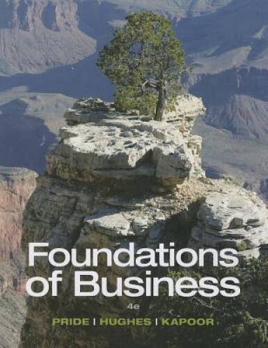 Foundations of Business – Standalone book – Paperback – GOOD