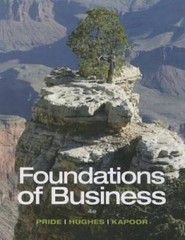 Foundations of Business – Standalone book – Paperback – GOOD