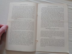 Farm Sheep Raising for Beginners by Marshall Millin 1917 Farmers Bulletin 840 US
