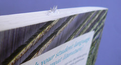 Using Language Well,Simply Charlotte Mason Presents,Book 2 Guide&Answer Key