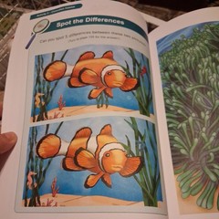 Something Fishy – All About Reading, All About Spelling, All Levels