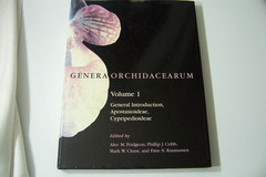 Genera Orchidacearum Ser.: Genera Orchidacearum : General Intro Vol. 1 (1999 HC)