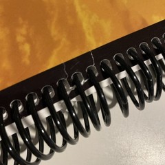Apologia Zoology 3: Junior Notebooking Journal, Clean Pages