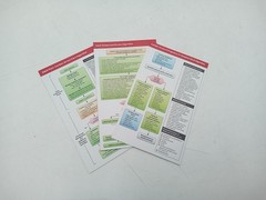 2020 ACLS Reference Cards American Heart Association Cardiac Arrest Lot of 10