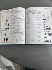 Holt Rinehart Winston Modern Biology Hardcover 1987 High School Illustrated