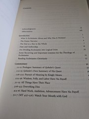 Ecclesiastes by Peter Enns, Eerdman’s Publishing, PB, Like New
