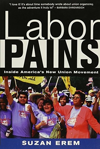 Labor Pains: Stories from Insi – VERY GOOD