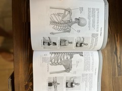 Kinesiology Made Easy a Quick Guide to Musculoskeletal Anatomy, Fourth Edition