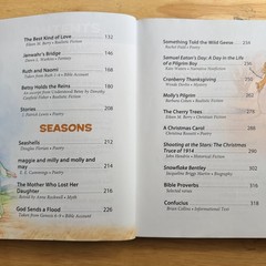 BJU Press Bob Jones University Reading 4 Voyages Student Text Teacher Resources