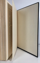 RULES FOR RADICALS Saul Alinsky 1971 RARE EDITION HARDCOVER *READ* PRIMER HC DJ