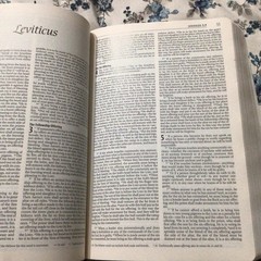 WATERPROOF BIBLE: NIV (PINK FLORAL) By Bardin & Marsee Publishing