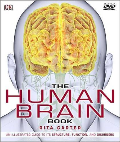 The Human Brain Book – Hardcover By Rita Carter – GOOD