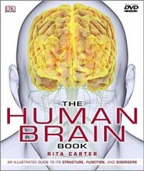 The Human Brain Book – Hardcover By Rita Carter – GOOD