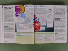 Interactive Science Human Body Systems 2011 HC Teacher’s Edition & Resource