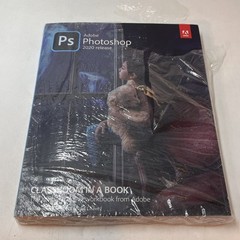 Adobe Photoshop Classroom in a Book (2020 Release) Access Code Included