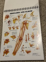 The Anatomical Chart Series Classic Library Edition Desk Size 1991 11” X 15”