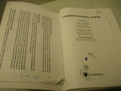 Understanding Torts Third Edition Diamond Levine Madden Lexis Nexis Softcover