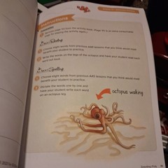 Something Fishy – All About Reading, All About Spelling, All Levels