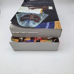 The Norton Anthology of American Literature Vol 1 and 2 10th Edition