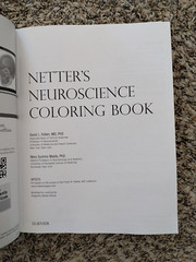 Netter’s Neuroscience Coloring Book | Felton & Maida | 2018 Paperback | LIKE NEW