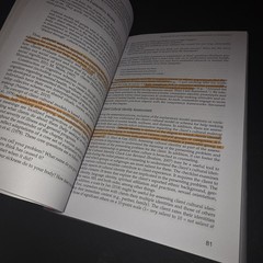 Assessment in Counseling: Procedures and Practices By Danica G. Hays 7th Edition