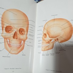 Wilbert Group Anatomy for Funeral Service 1st Edition Hardcover Book