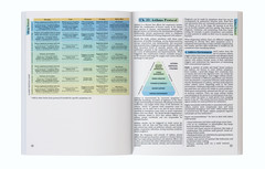 The Holistic Guide to Wellness (paperback with color pictures)