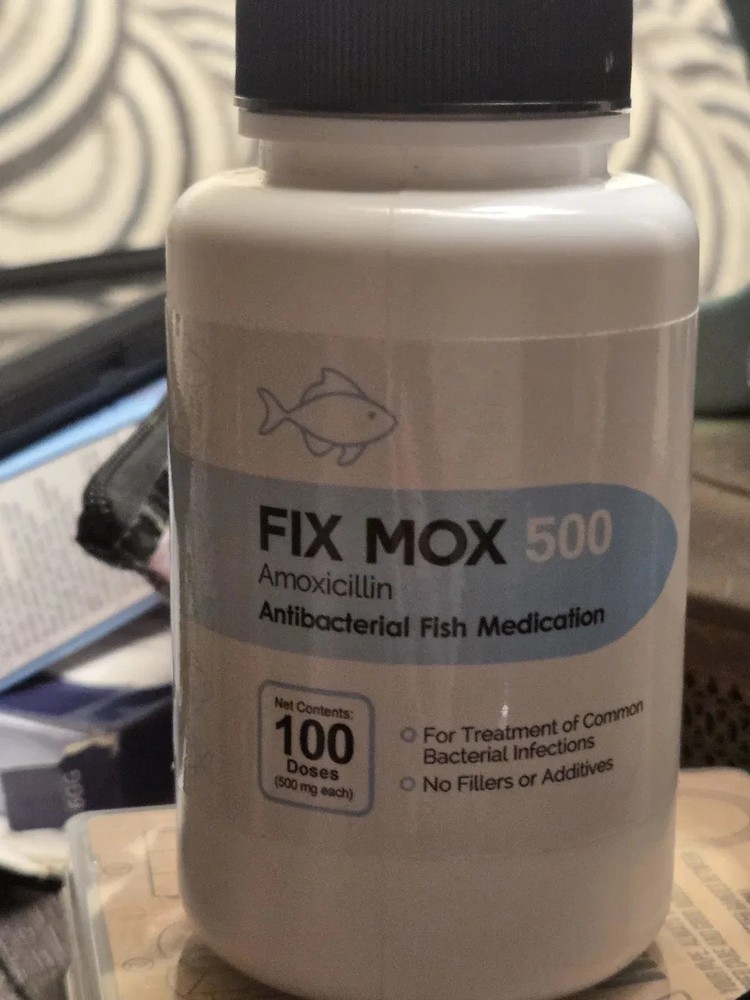 AQUA FISH FOR AQUARIUM USE 500 100 FORTE