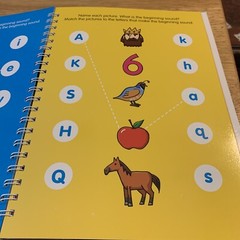 Scholastic Pre-K Trace and Write Wipe-Clean Activity Spiral Paperback Book