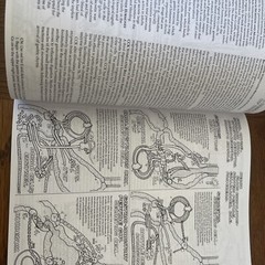 The Physiology Coloring Book (Paperback or Softback)