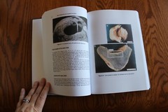 Rock Weathering and Landform Evolution Edited by D.A. Robinson Wiley Pub HB
