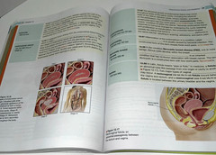 Medical Terminology Complete! – Paperback, by Wingerd – Very Good (No Writing)