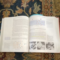 Mosby Chemistry: The Molecular Science Olmsted/Williams HC 1994 w/Study Guide