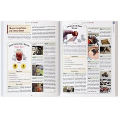 The Amish Ways (paperback with color pictures)