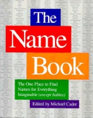 The Name Book: The One Place to Find Names for Everything Imaginable (Except