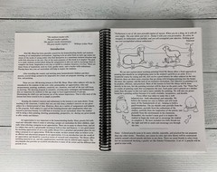 Feed My Sheep Art Curriculum Spiral bound by Barry Stebbing Book Homeschool