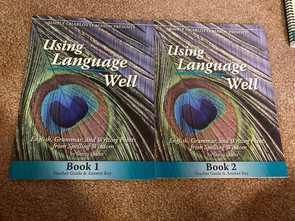 Using Language Well, Book 1, Teacher Guide and Answer Key : English, Grammar,…