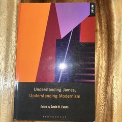 UNDERSTANDING JAMES, UNDERSTANDING MODERNISM By David H. Evans