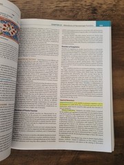 Understanding Pathophysiology – Paperback By McCance RN PhD, Kathryn L. – GOOD