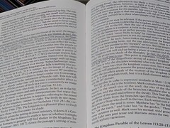 Luke 1:1-9:50 by Darrell L. Bock (Baker Exegetical Commentary on the NT)