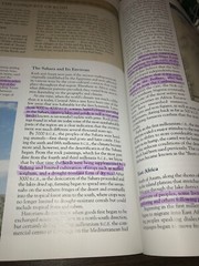 World History Paperback Book