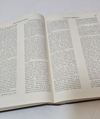 The American Constitution Study Cases Materials Casebook Series Commentary