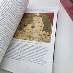 The Norton Anthology of American Literature Vol 1 and 2 10th Edition
