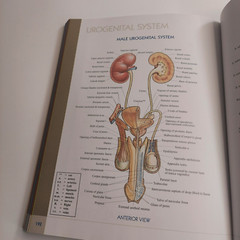 QuickStudy Atlas of Human Anatomy Vincent Perez Health Home School Good