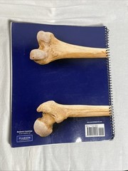 Martini’s Atlas of the Human Body By Pearson, 2014, Spiral Bound PB, 160 Pages