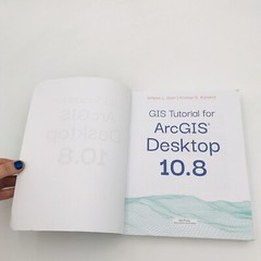 GIS Tutorial ArcGIS Desktop 10.8 Wilpen Gorr Kristen Kurland Paperback Esri 2020