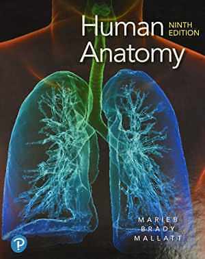 Human Anatomy (9th Edition) – Hardcover, by Marieb Elaine N.; Brady – Good