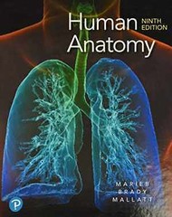 Human Anatomy (9th Edition) – Hardcover, by Marieb Elaine N.; Brady – Good
